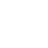 InstagramIcon